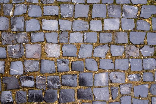 Wet stone blocks of sidewalk after rain