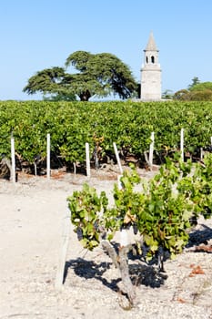 Chateau de la Tour, By, Bordeaux Region, France