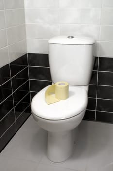 Modern clean toilet bowl with toilet paper on the cover