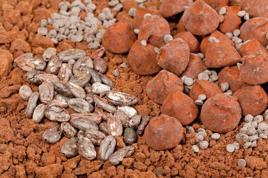 chocolate truffles and cocoa beans in cocoa