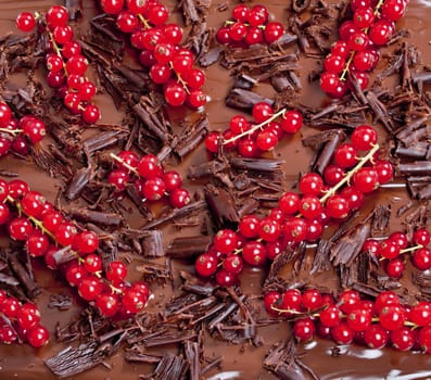 red currant with chocolate