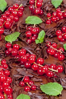red currant and mint with chocolate