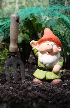 A small colorfully decorated bearded garden gnome with an orange hat and green tunic, set in a vegetable patch with a small hand held garden fork set in the earth next to the gnome. Set on a portrait format.