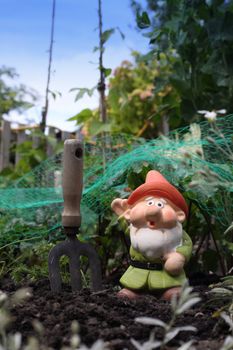 A small colorfully decorated garden gnome set in a vegetable patch with a small hand held garden fork on a portrait format.