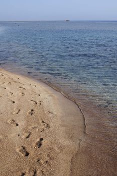 Traces on sand of Red Sea coast