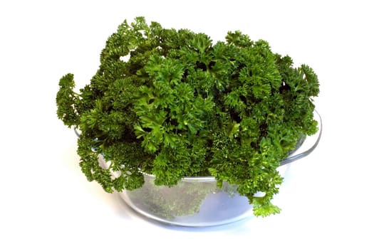 Fresh bright green parsley closeup isolated on white background
