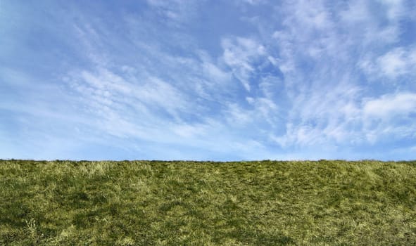 Green field. Straight horizon, suitable as background or banner.