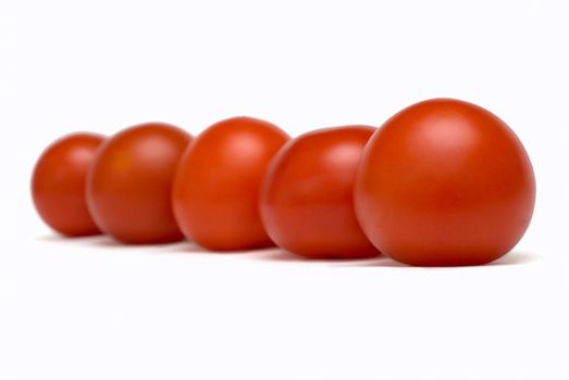 Red tomatoes standing in a row