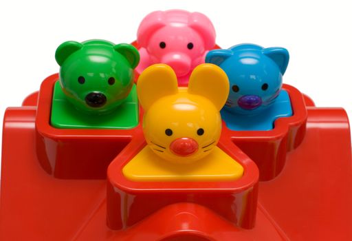 Color animal toys standing in a cell