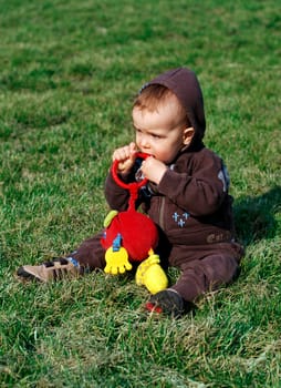 One year old boy on green grass in spring
