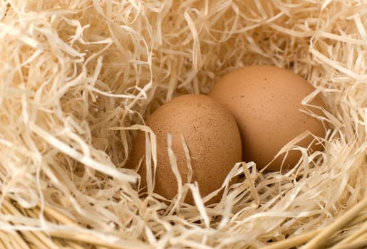 two eggs in nest 