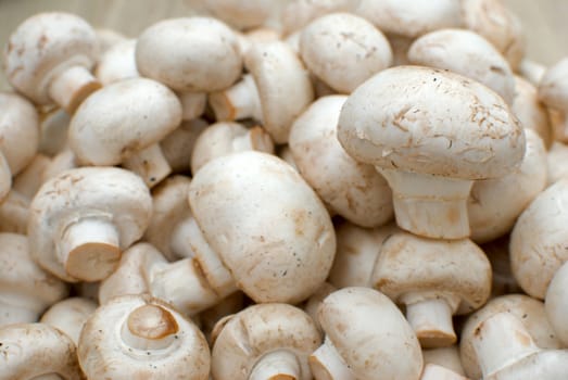 Pile of raw mushrooms, champignons for eating