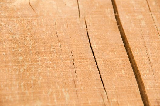 cracked pine wood log on a very shallow depth of field (background or texture)