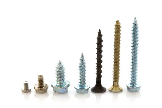 Set of diferent size screws