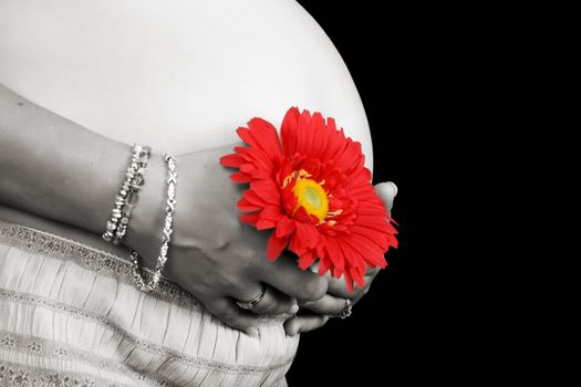 Pregnant mother holding a red flower against her belly