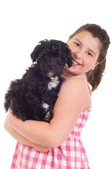 adorable little girl holding her dog (isolated on white background)