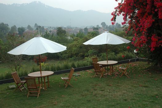 beautiful garden with brick stone path and outdoor chair