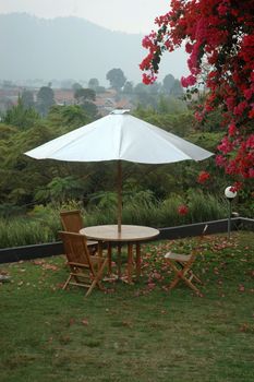 beautiful garden with brick stone path and outdoor chair