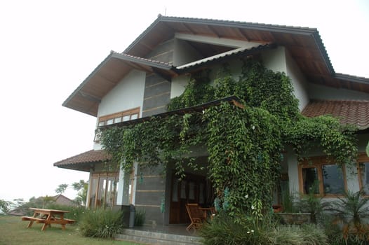 tropical house that build with javanese art design