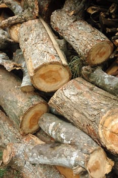 abstract shot of stack of log wood