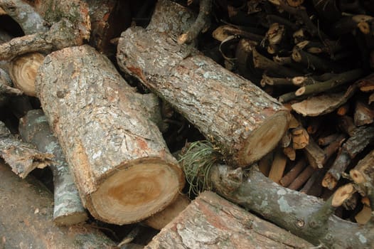 abstract shot of stack of log wood