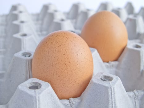 Close up an egg in container