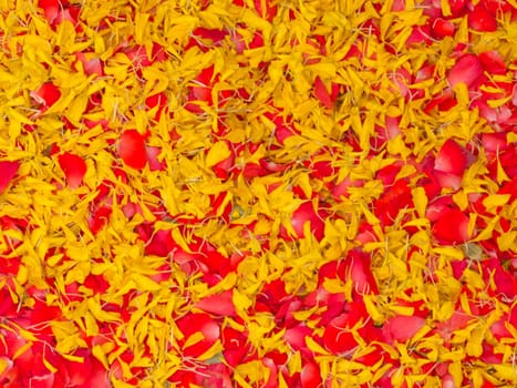 A texture from red and yellow flower on the floor.