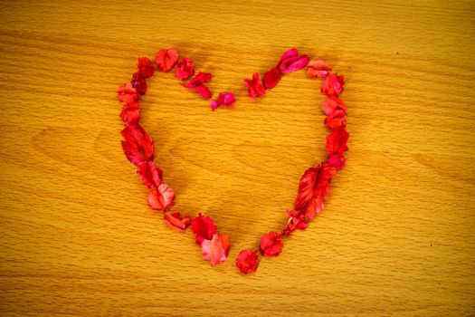 Dry flower heart on wood background