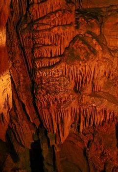 Mammoth Cave National Park has the world's largest network of natural caves (560 surveyed km of passageways).