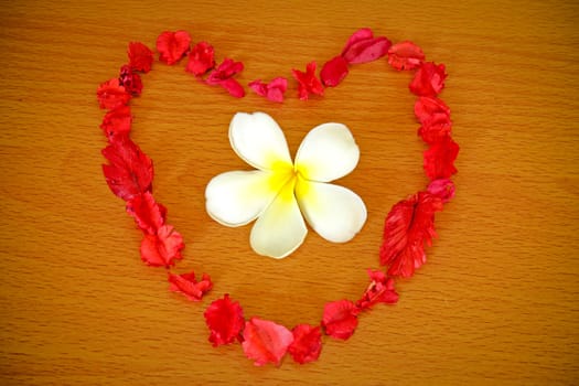 Dry flower heart with frangipani on wood background