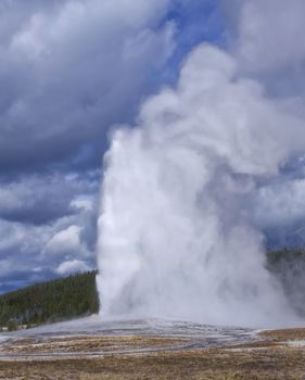 Eruption of the Old Faithful Geyser, Yellowstone National Park, Wyoming