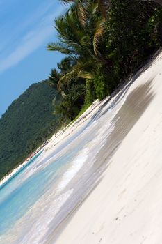 Gorgeous coconut palm trees overlook Flamenco beach on the Puerto Rican island of Culebra.