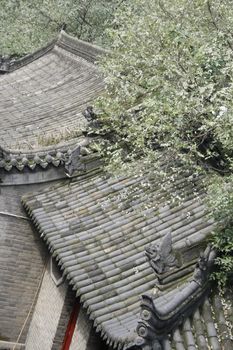 downtown of Xian, overlooking the rooftops