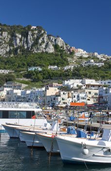 Landscape of the port of Capri in summer 