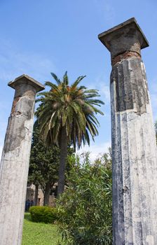 Columns and palm in Pompei with blue sky in background