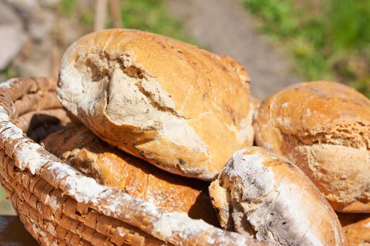 Traditional Czech bread made in medieval oven, with caraway