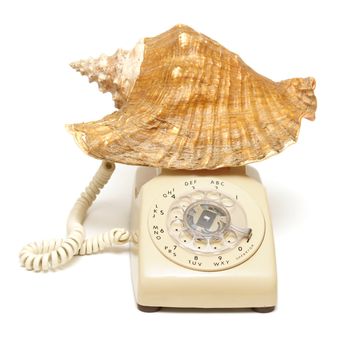 A conceptual shell phone great for booking vacations or just a day at the beach.