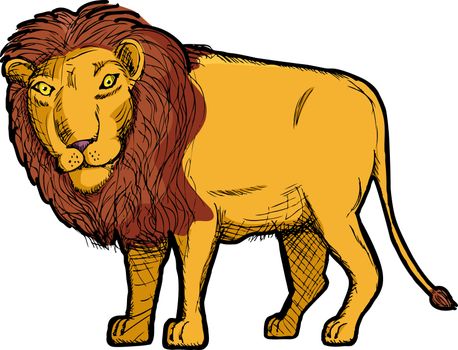 Drawing of an isolated lion with head turned