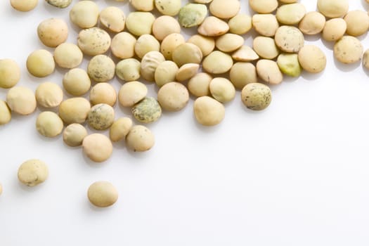 whole lentil (Lens culinaris) seeds on a white background