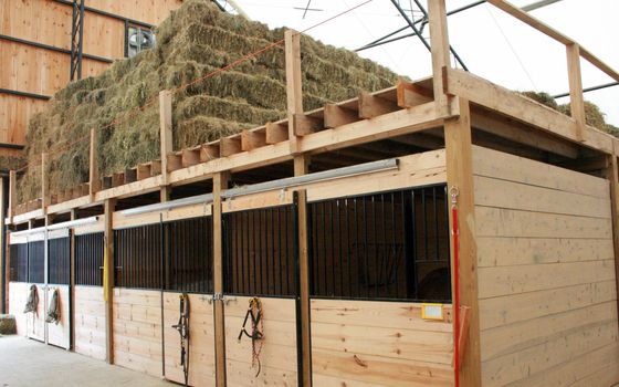 a newly-built modern horse stable, showing hay storage above box stalls
