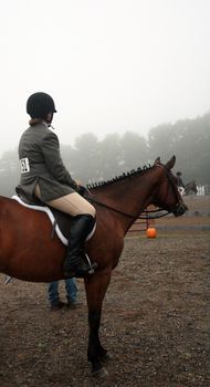 an equestrian on horse, waiting to be called into the show ring