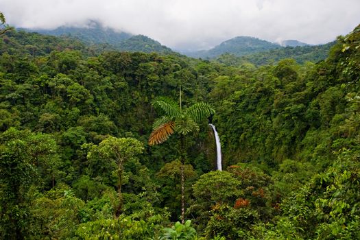 Wonderful view over Costa Rican rain forest. La Fortuna waterfall on background.