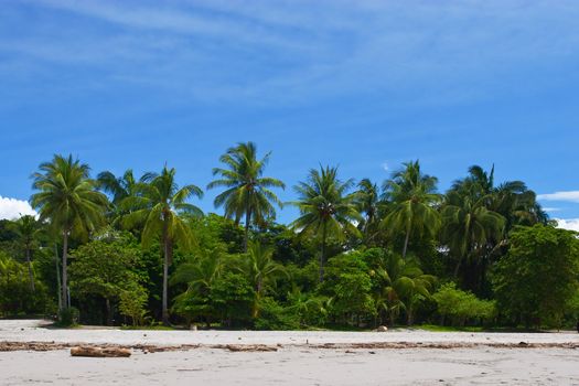 View of a Tropical beach in Manuel Antonio, Costa Rica.