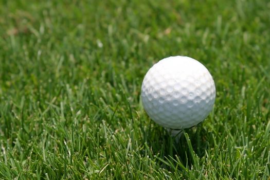 Close up of a golf ball on green lawn.