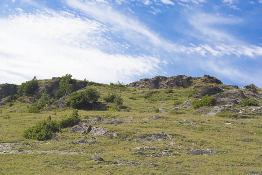 Mountain panorama: sky, bushes and stones 
