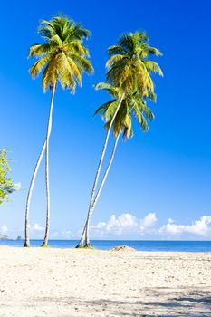 Maracas Bay, Trinidad