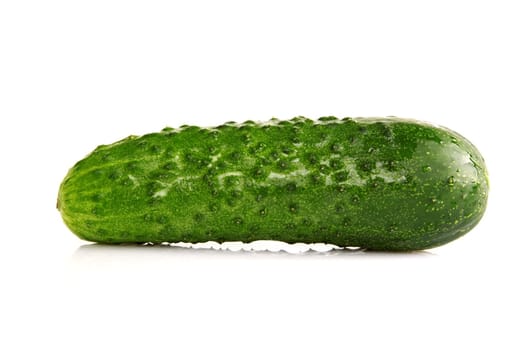 Fresh green Cucumber on a white background