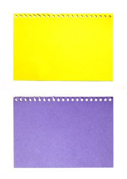 empty sheet of yellow and purple paper isolated on white