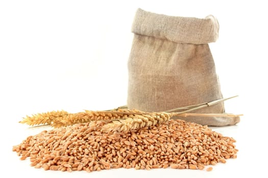 a sack of grain and corn on a white background
