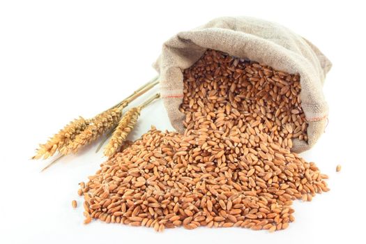 a sack of grain and corn on a white background